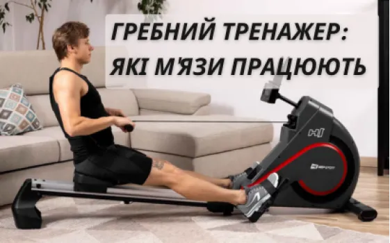 Гребний тренажер: які м'язи працюють та як ефективно на ньому тренуватися?