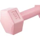 Image 5 for Гантели для фитнеса композитные Gymtek 2х1кг розовый