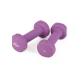 Image 2 for Гантели для фитнеса неопреновые Queenfit 2х1кг фиолетовый