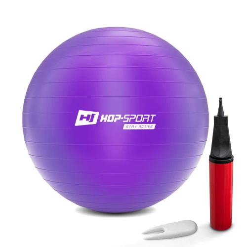 Фітбол Hop-Sport 75 см фіолетовий + насос 2020