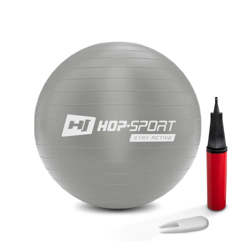 Фитбол Hop-Sport 45см серебристый + насос 2020