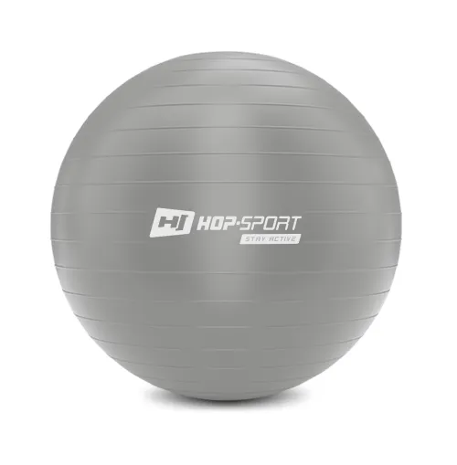 Фітбол Hop-Sport 75см сріблястий + насос 2020