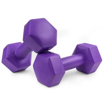 Гантели для фитнеса композитные Hop-Sport HS-C010DH 2х1кг