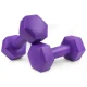 Image 1 for Гантели для фитнеса композитные Hop-Sport HS-C010DH 2х1кг