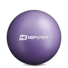 Фітбол Hop-Sport 25 cм фіолетовий