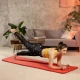 Image 9 for Коврик для йоги Hop-Sport HS-NB010GM NBR 1см яскраво-червоний