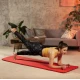 Image 4 for Коврик для йоги Hop-Sport HS-NB020GM NBR 2см яскраво-червоний
