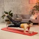 Image 3 for Коврик для йоги Hop-Sport HS-NB016GM NBR 1,5см червоний