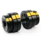 Image 2 for Набір Besport PowerPro гантелі 2х31кг з лавою WB-002