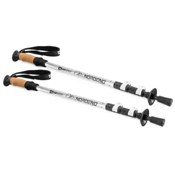 Трекинговые палки Hop-Sport Nordend Pro серебристые