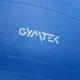 Image 4 for Фітбол Gymtek 65см синій + насос