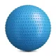Image 2 for Фитбол массажный Hop-Sport 65см голубой + насос