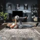 Image 6 for Фитбол Hop-Sport 25см серебристый
