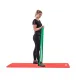 Image 13 for Резинка для фитнеса Hop-Sport 23-57кг HS-L044RR зеленая